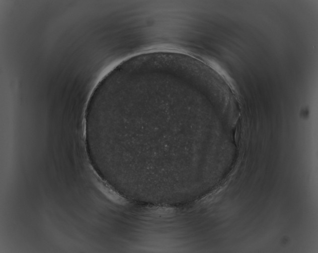 X0000091191372200708301228