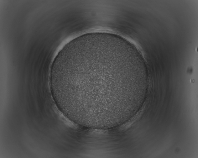 X0000091191374200708301228