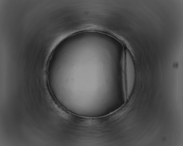 X0000091191375200708301228