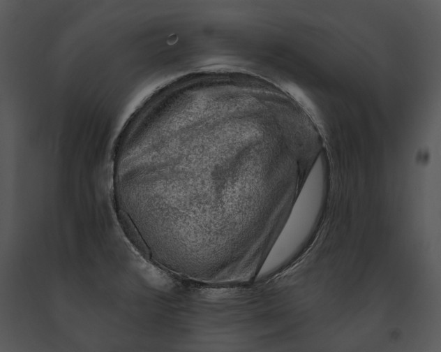 X0000091191376200708301228