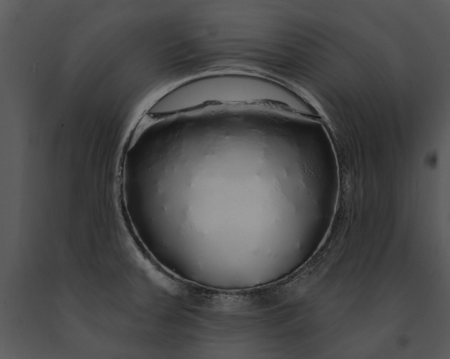 X0000091191379200708301228