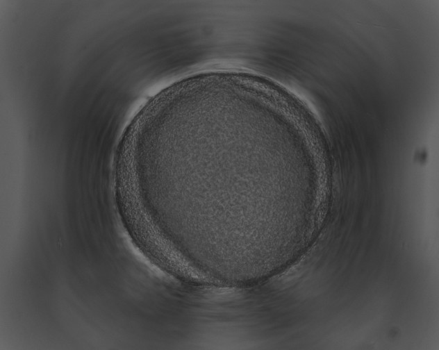 X0000091191382200708301228