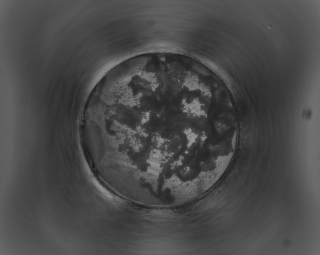 X0000091191383200708301228