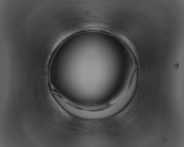 X0000091191384200708301228