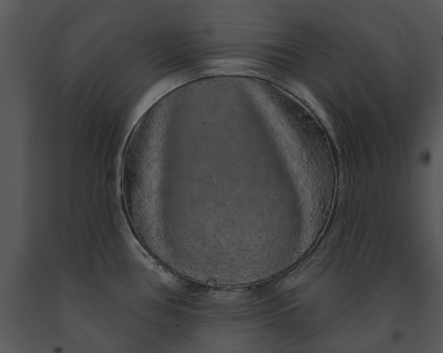 X0000091191386200708301228