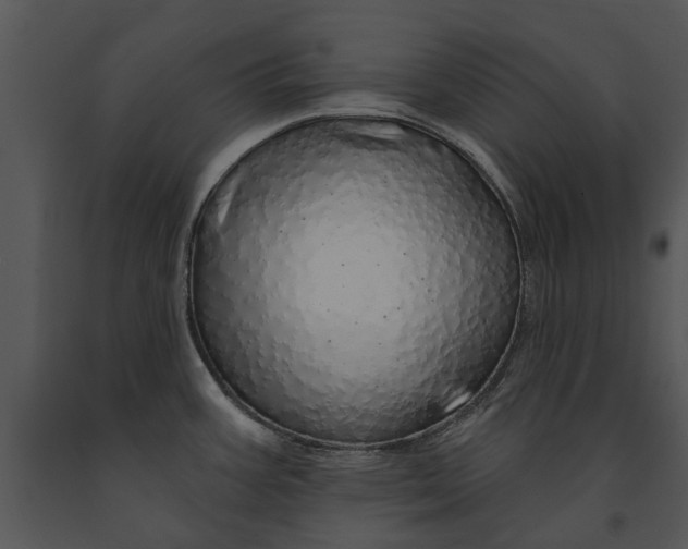 X0000091191387200708301228