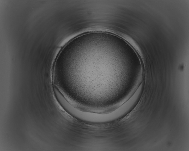 X0000091191388200708301228