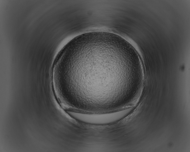 X0000091191389200708301228