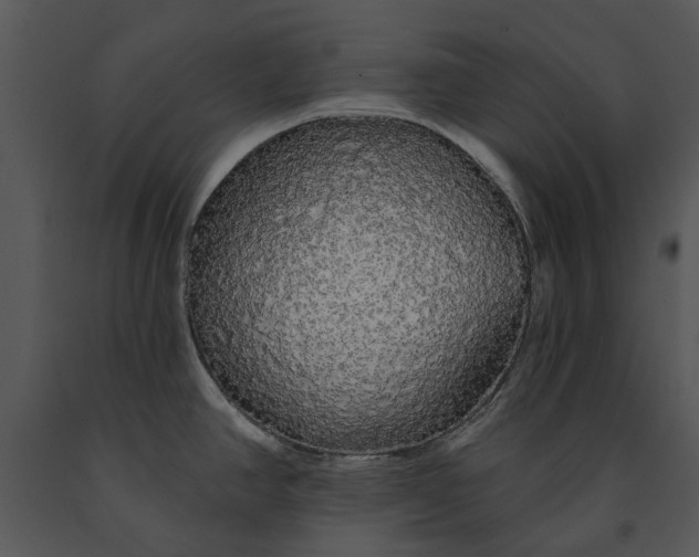 X0000091191390200708301228