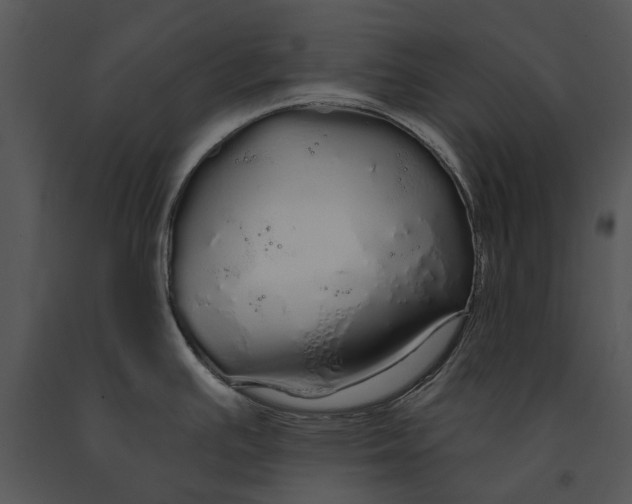 X0000091191391200708301228