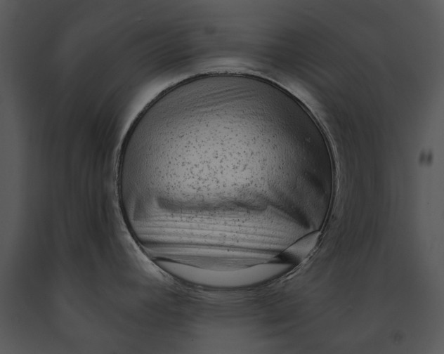 X0000091191392200708301228