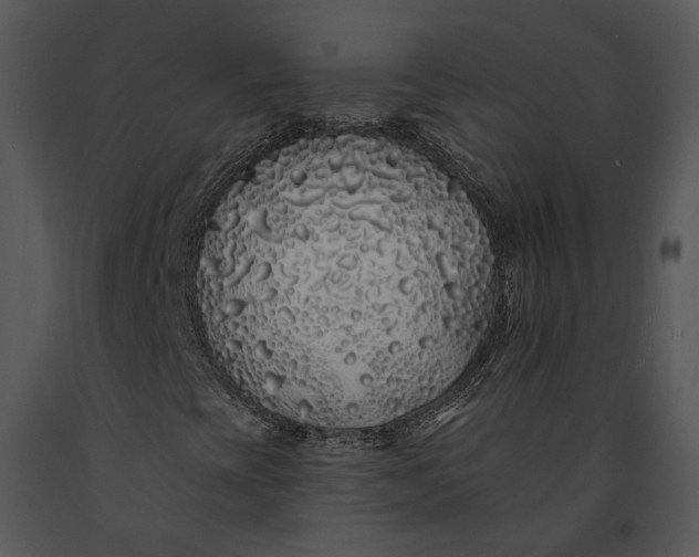 X0000091191393200708301227