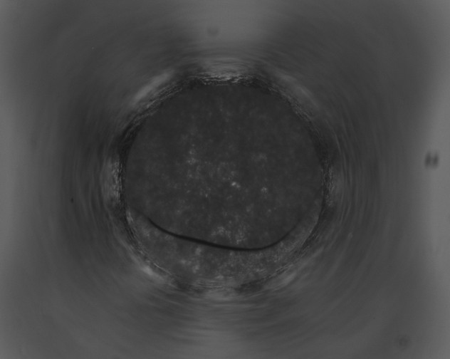 X0000091191394200708301227