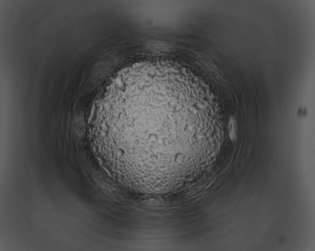 X0000091191395200708301227