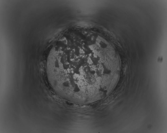 X0000091191397200708301227