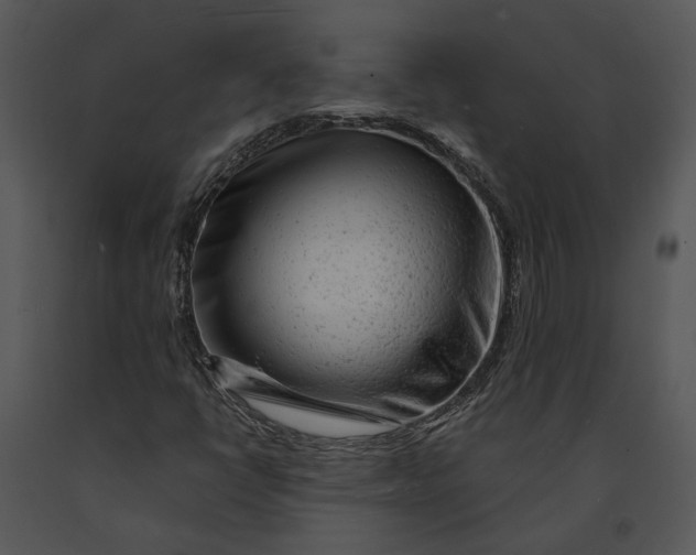 X0000091191398200708301227