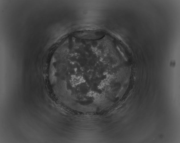 X0000091191399200708301227