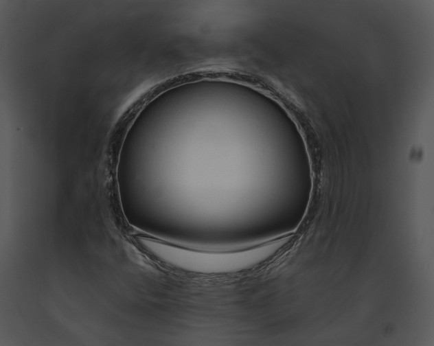 X0000091191400200708301227