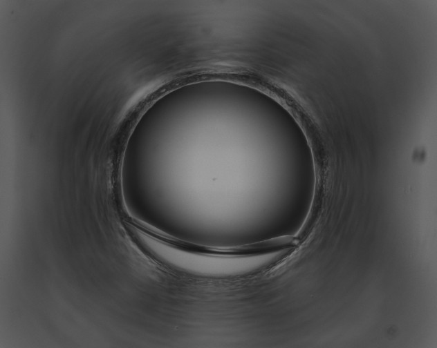 X0000091191402200708301227