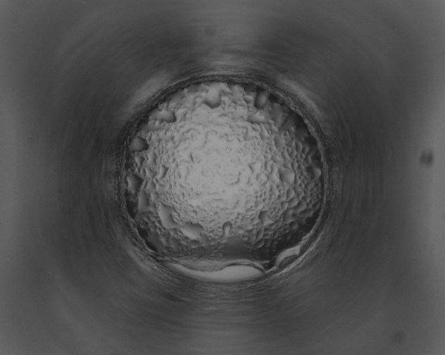 X0000091191403200708301227