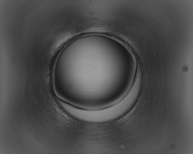 X0000091191406200708301227