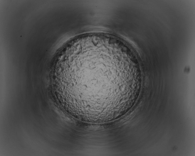 X0000091191407200708301227