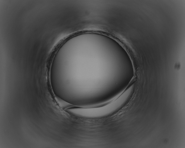 X0000091191408200708301227