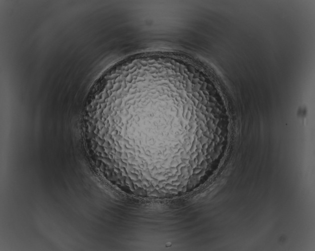 X0000091191409200708301227