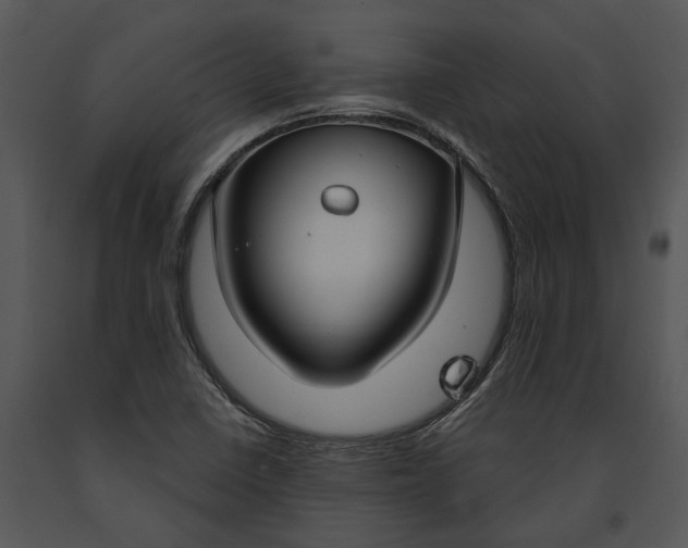 X0000091191410200708301227