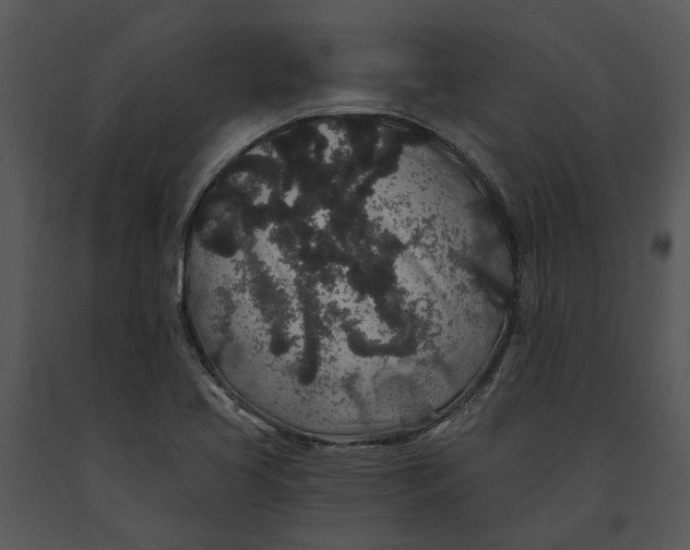 X0000091191413200708301227