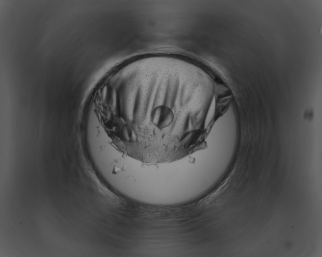 X0000091191414200708301227