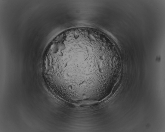 X0000091191415200708301227