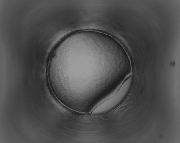 X0000091191416200708301227