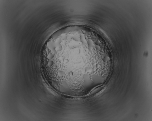 X0000091191417200708301227