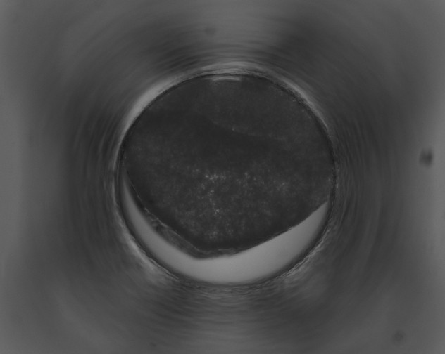 X0000091191418200708301227