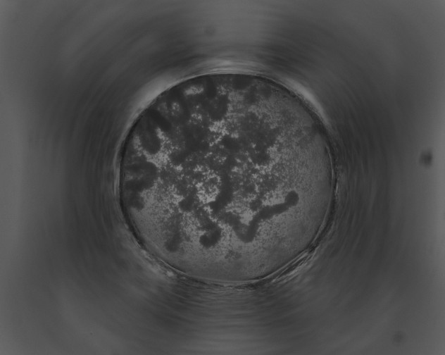 X0000091191419200708301227