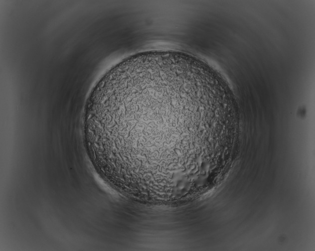 X0000091191421200708301227