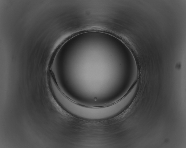 X0000091191422200708301227