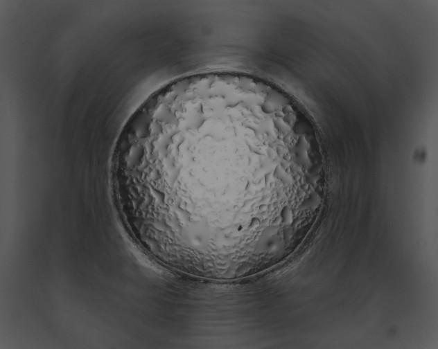 X0000091191423200708301227