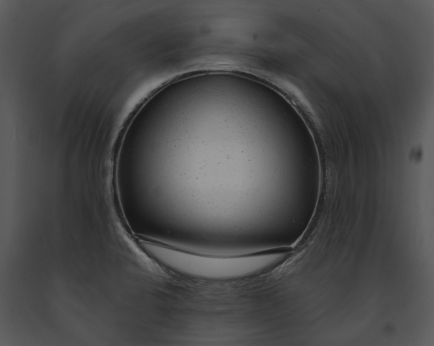 X0000091191424200708301228