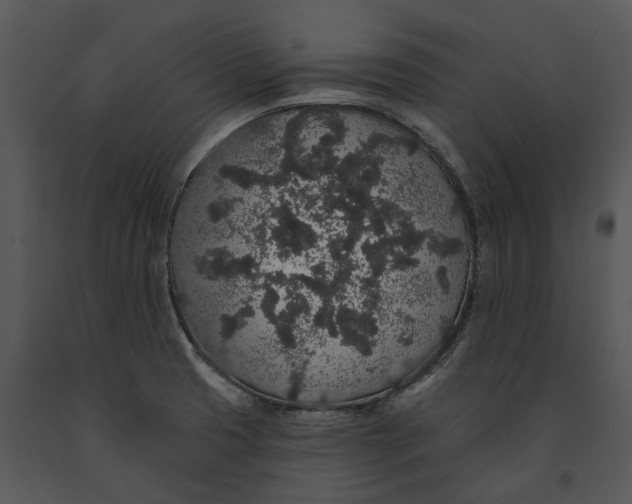 X0000091191425200708301228