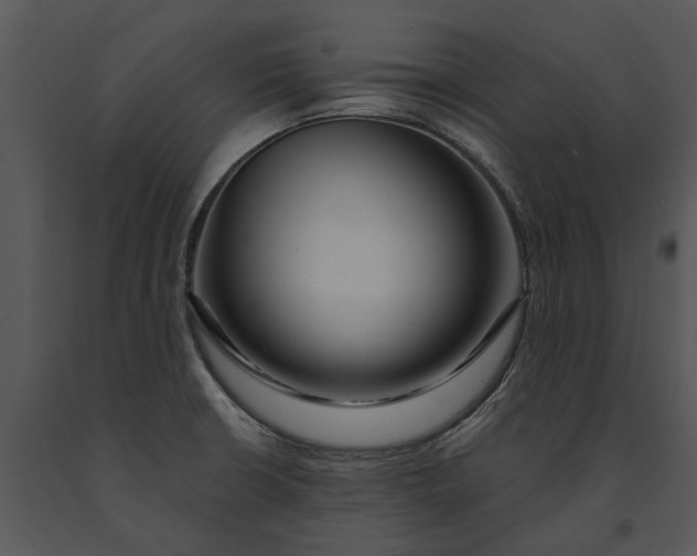 X0000091191426200708301228