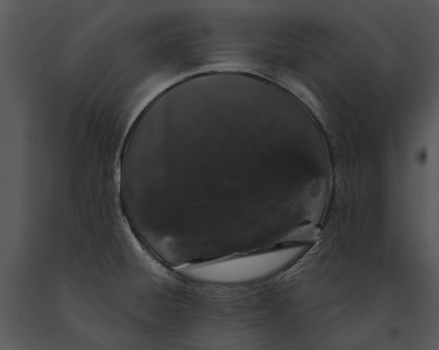 X0000091191428200708301228