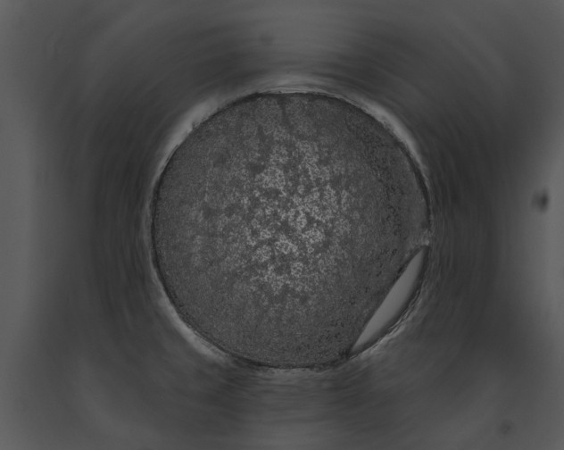 X0000091191429200708301228