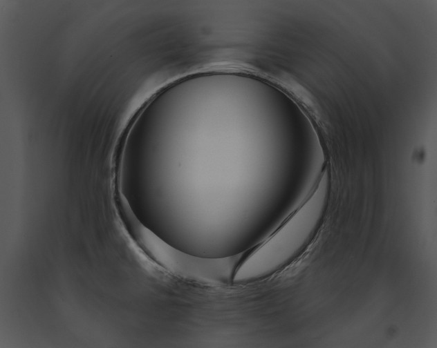 X0000091191430200708301228