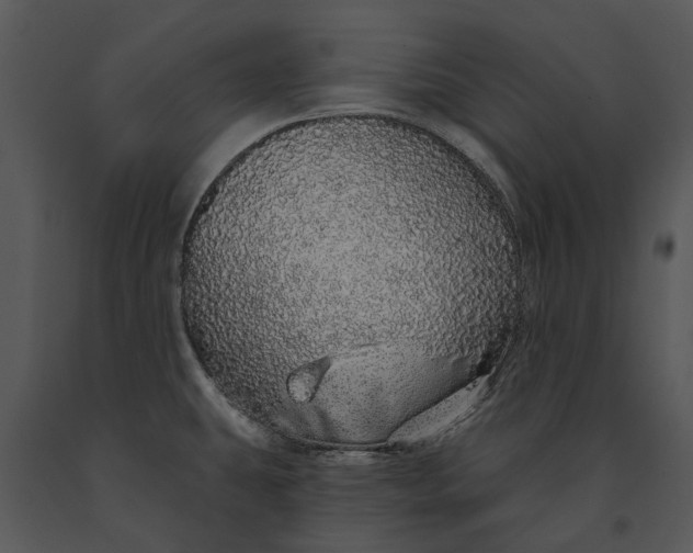 X0000091191431200708301228