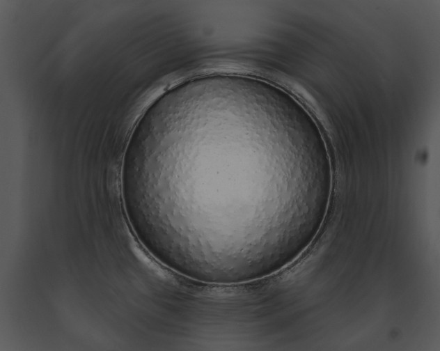 X0000091191433200708301228