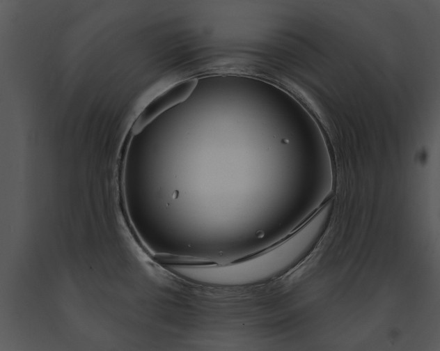 X0000091191434200708301228