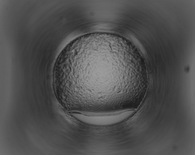 X0000091191435200708301228