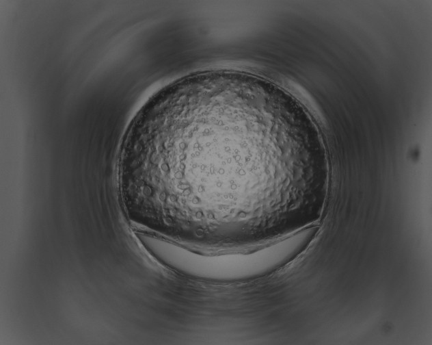 X0000091191436200708301228